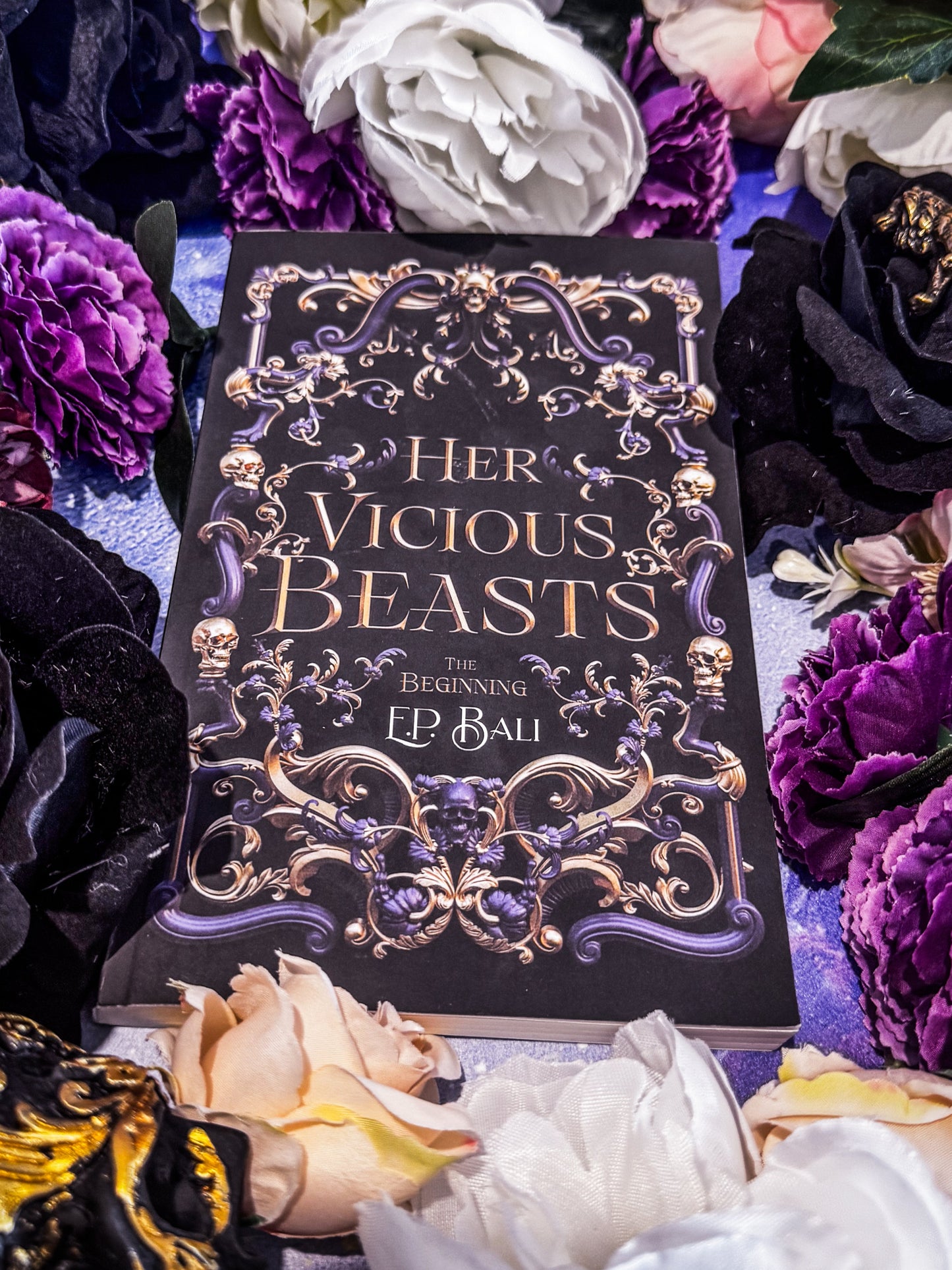 Her Vicious Beasts prequel novella Paperback (#0.5 of Her Vicious Beasts)